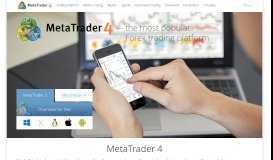 
							         MetaTrader 4 Platform for Forex Trading and Technical Analysis								  
							    