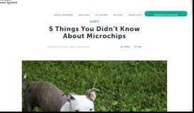 
							         Microchips for Pets | What is Microchipping | Pet Microchip								  
							    