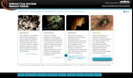 
							         National Cave and Karst Research Institute - Research Education ...								  
							    