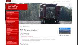 
							         NC Strawberries | NC State Extension - Integrated Pest Management								  
							    