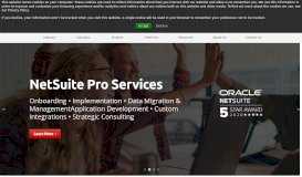 
							         NetSuite Consultants & Developers | Adaptive Insights Trainers ...								  
							    
