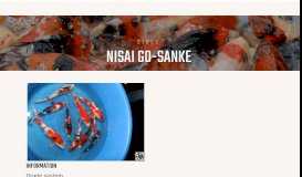 
							         Nisai Go-Sanke | Stock | Mr Nishikigoi								  
							    