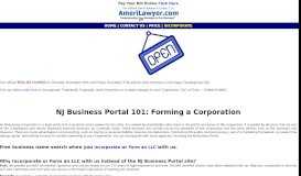 
							         NJ Business Portal 101 | Company Formation Lawyer New Jersey								  
							    