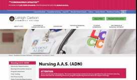 
							         Nursing A.A.S. (ADN) | LCCC								  
							    