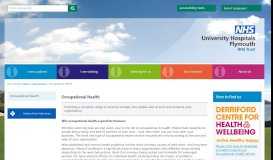 
							         Occupational Health and Wellbeing								  
							    
