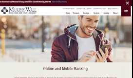 
							         Online and Mobile Banking Murphy Wall								  
							    