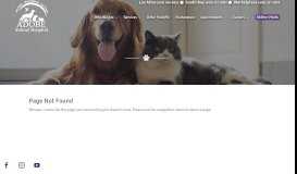 
							         Online Electronic Pet Portal - Adobe Animal Hospital								  
							    
