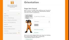 
							         Orientation Reports Portal | New Vols								  
							    