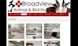 
							         Our Clinic - Broadview Animal & Bird Hospital								  
							    