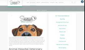 
							         Our Services – Spencer Springs Animal Hospital								  
							    