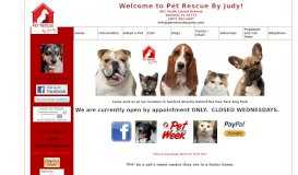 
							         Oviedo Petsmart - Pet Rescue By Judy								  
							    
