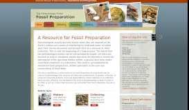 
							         PaleoPortal Fossil Preparation | Home								  
							    