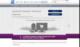 
							         Payment Gateway | American Express®								  
							    