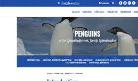 
							         Penguins | Smithsonian Ocean								  
							    