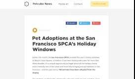 
							         Pet Adoptions at the San Francisco SPCA's Holiday Windows - Petcube								  
							    