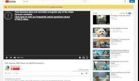 
							         Pet Express SM Cubao on MyPetChannel.tv - YouTube								  
							    