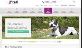 
							         Pet Insurance Australia | Real Insurance								  
							    