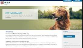 
							         Pet Insurance								  
							    