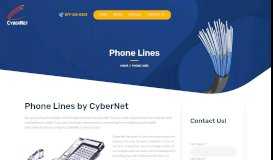 
							         Phone Lines - CyberNet Communications								  
							    