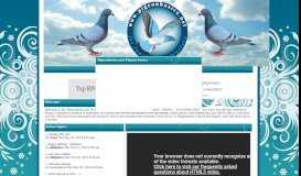 
							         Pigeonbasics.net Pigeon basics - Portal								  
							    