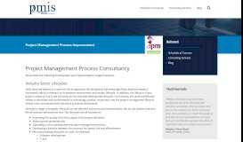 
							         PM process development Consulting | PMIS in the UK								  
							    