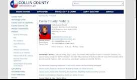
							         Probate - Collin County								  
							    