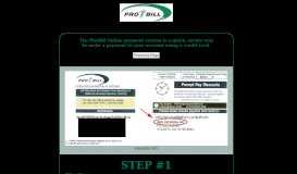 
							         ProBill Payment Portal - ProBillUSA								  
							    