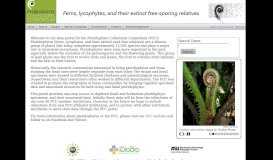 
							         Pteridophyte Collections Consortium Home								  
							    