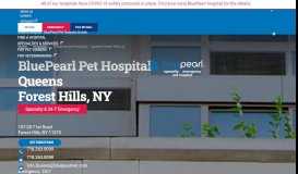 
							         Queens, NY | Emergency Vet - BluePearl Pet Hospital								  
							    