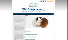 
							         Resources - Wee Companions Small Animal Adoption, Inc.								  
							    