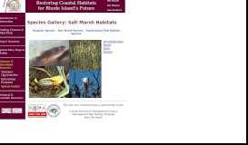 
							         RI Restoration Portal: Species Gallery - Salt Marsh Habitats - URI EDC								  
							    