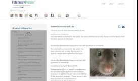 
							         Rodent Husbandry and Care - Veterinary Partner - VIN								  
							    