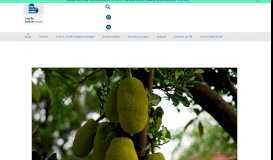 
							         Rs 2,000 Cr of Jackfruit Wasted Annually: Techie Sources Easy Solution								  
							    