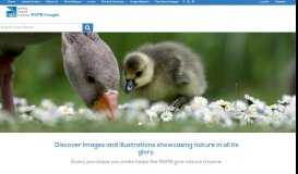 
							         RSPB Images - Home								  
							    