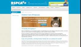 
							         RSPCA Victoria Foster Care Program - RSPCA Victoria								  
							    