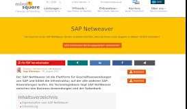 
							         SAP Netweaver - mindsquare.								  
							    
