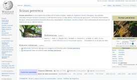 
							         Scinax perereca - Wikipedia, la enciclopedia libre								  
							    