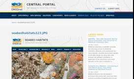 
							         seabedhabitats123.JPG | Central Portal - EMODnet								  
							    