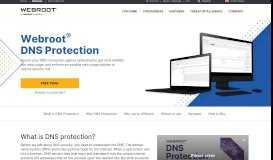 
							         Secure DNS Protection with Content & URL Filtering | Webroot								  
							    