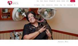 
							         SF SPCA: Careers								  
							    