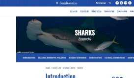 
							         Sharks | Smithsonian Ocean								  
							    