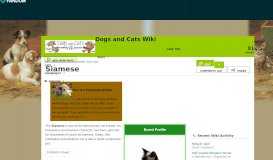 
							         Siamese | Dogs and Cats Wiki | FANDOM powered by Wikia								  
							    