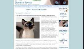 
							         Siamese Rescue - Main Website								  
							    