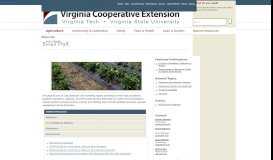 
							         Small Fruit | Virginia Cooperative Extension | Virginia Tech								  
							    