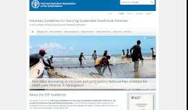 
							         Small Scale Fisheries Guidelines | Food and Agriculture Organization ...								  
							    