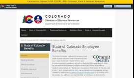 
							         State of Colorado Employee Benefits | DHR - Colorado.gov								  
							    