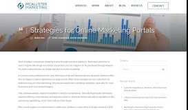 
							         Strategies for Online Marketing Portals - McAllister Marketing								  
							    