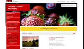 
							         Strawberry Growers Information | NC State Extension								  
							    