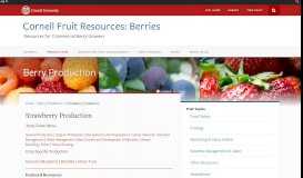 
							         Strawberry Production | Cornell Fruit Resources: Berries - Cornell blogs								  
							    