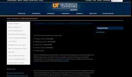 
							         Summer Orientation and Registration | Office of ... - UTM.edu								  
							    